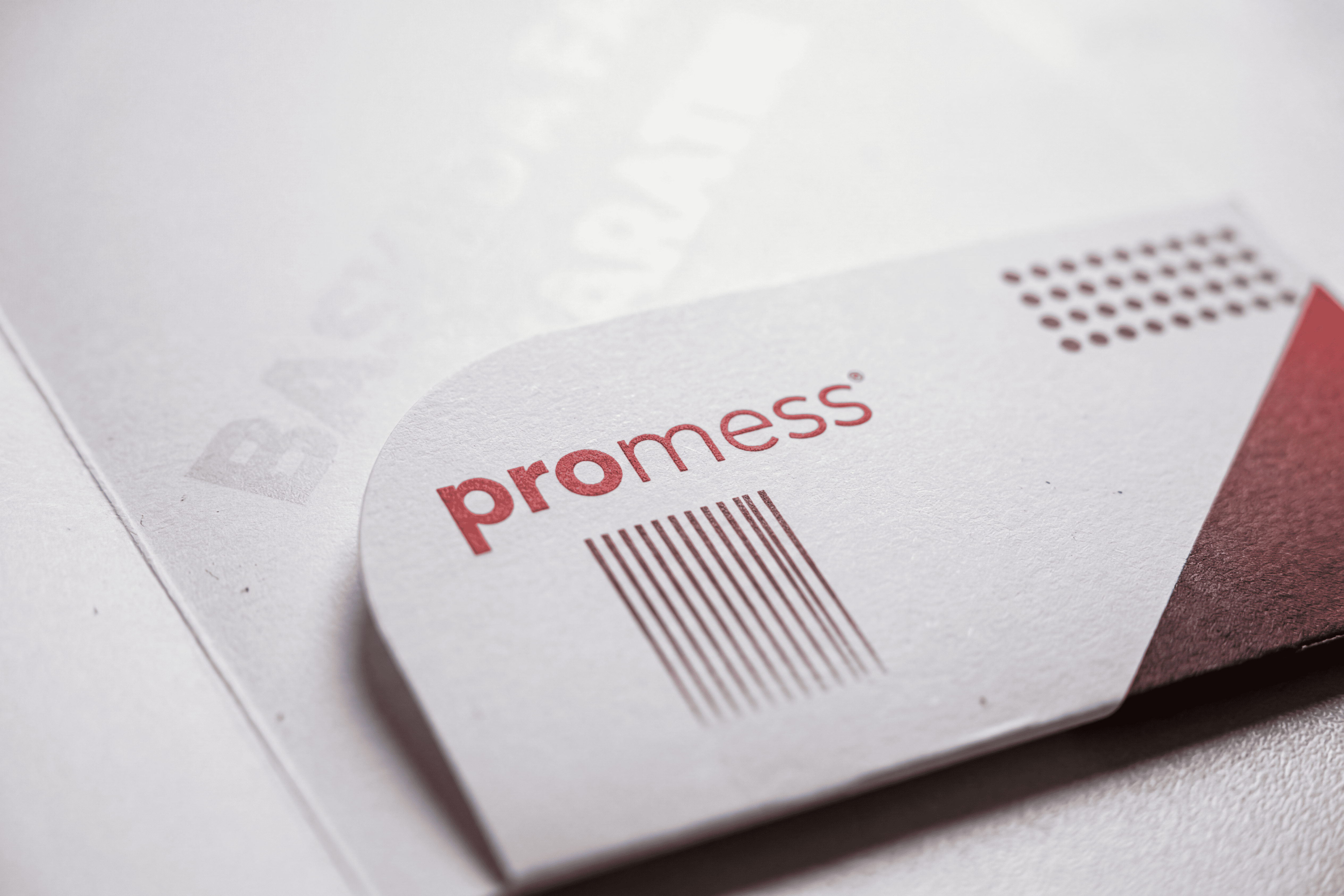 Cepli Dosya Örnek 5 - Promess Matbaa