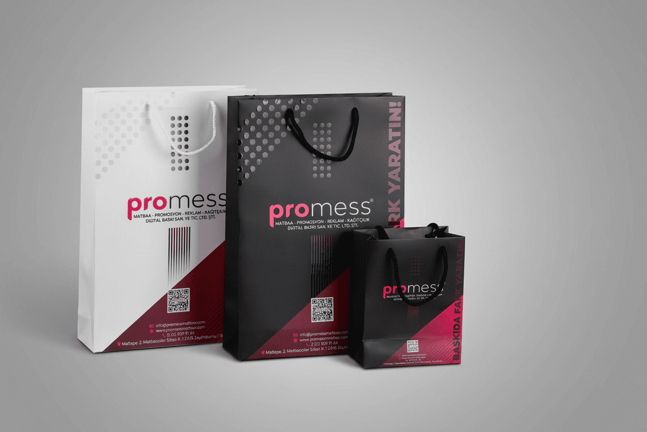 Karton Çanta Örnek 3 - Promess Matbaa
